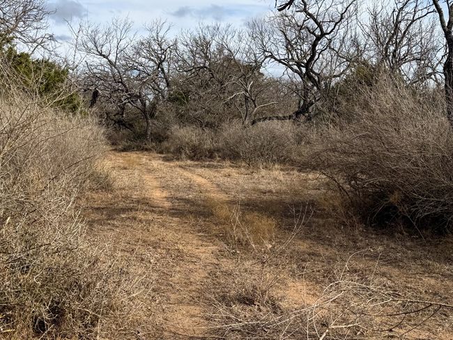 0 Langes Mill Rd, Home with 0 bedrooms, 0 bathrooms and null parking in Doss TX | Image 10
