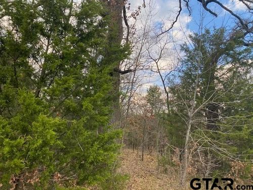 TBD County Road 1200, Athens, TX, 75751 | Card Image