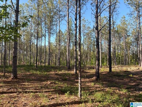 7-165 Queen Drive, Columbiana, AL, 35051 | Card Image