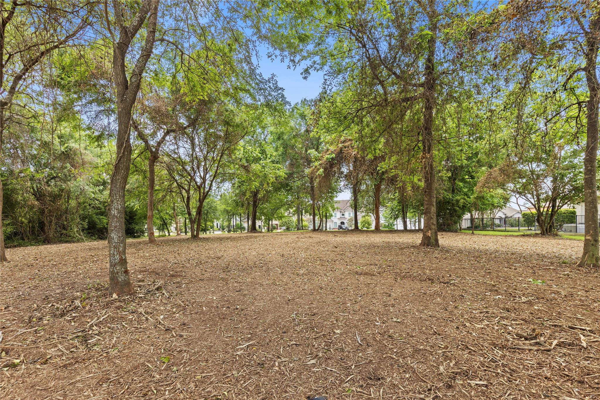 Land in Montgomery 5