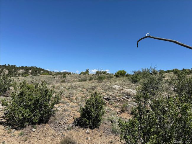 29 18 X, Home with 0 bedrooms, 0 bathrooms and null parking in Cotopaxi CO | Image 13