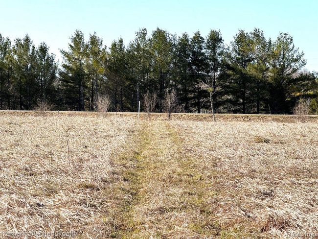 4052 S River Rd, Home with 0 bedrooms, 0 bathrooms and null parking in Cheboygan MI | Image 7
