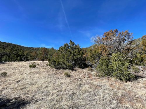 41 Canon Escondido, Sandia Park, NM, 87047-8535 | Card Image