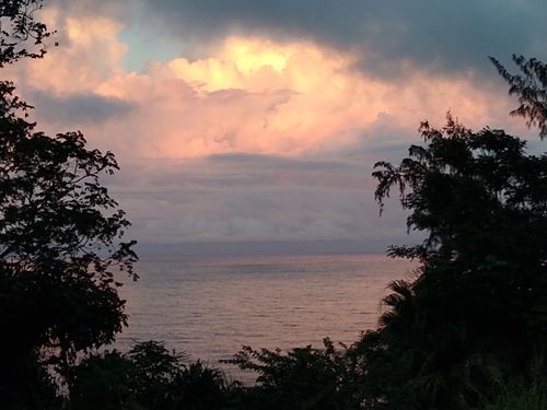 35-2064 Old Mamalahoa Hwy, Laupahoehoe, HI, 96764 | Card Image