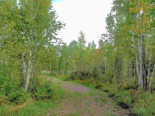 9223 W Highway 61, Schroeder, MN, 55613-8720 | Card Image