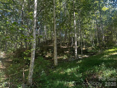 0 Clear Creek Trl, Lake Lure, NC, 28746 | Card Image