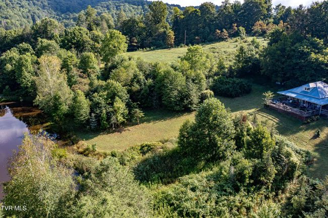 306 Bear Branch Rd, Home with 0 bedrooms, 0 bathrooms and null parking in Roan Mountain TN | Image 40