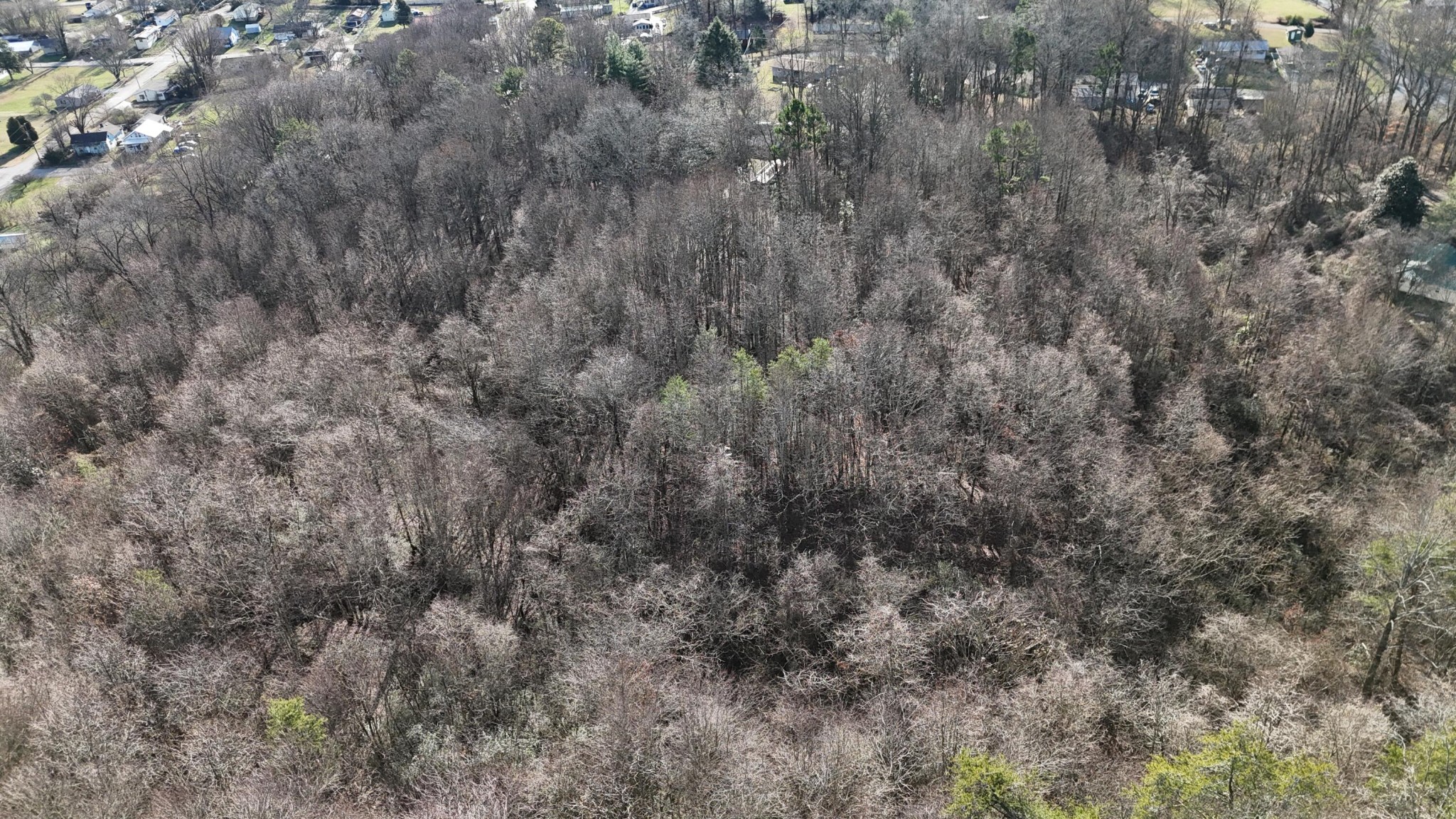 Land in Rockwood 5