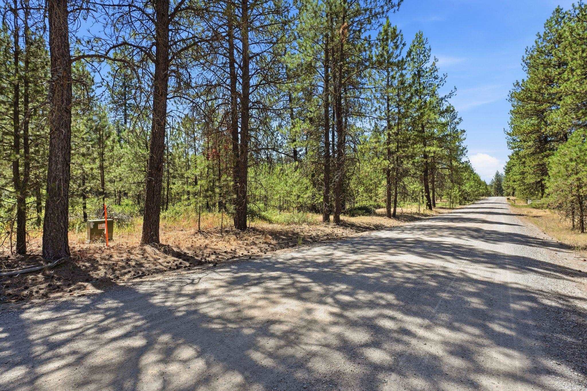 Land in Chattaroy 2