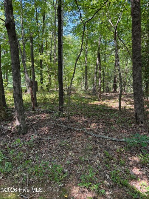 153 Omaha Dr, Louisburg, NC, 27549 | Card Image