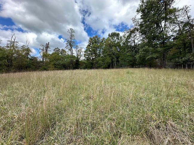 621 Point Pleasant Rd, House other with 2 bedrooms, 1 bathrooms and null parking in BLAND VA | Image 27