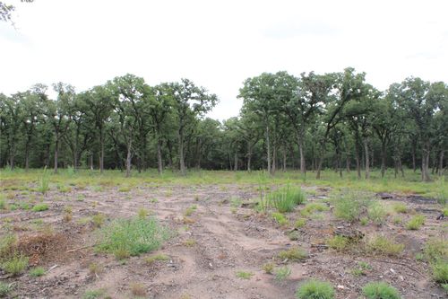 TBD Tokio Loop, West, TX, 76691 | Card Image