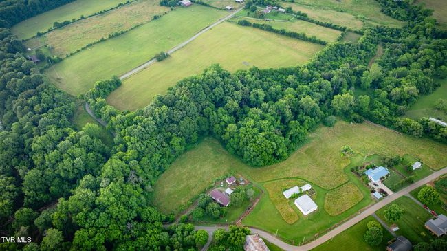 185 Lester Snapp Rd, Home with 0 bedrooms, 0 bathrooms and null parking in Limestone TN | Image 6