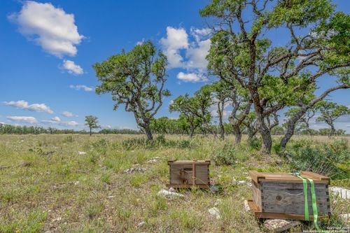 100 Spring Crossing, Junction, TX, 76849 | Card Image