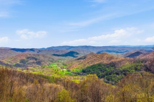 Tbd Log Cabin Ln, Roan Mountain, TN, 37687 | Card Image
