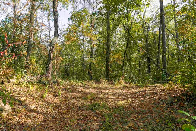 0 N Old State Road 25, Home with 0 bedrooms, 0 bathrooms and null parking in Delphi IN | Image 7