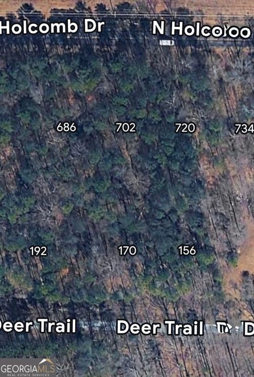 702 N Holcomb Drive, Martin, GA, 30557 | Card Image