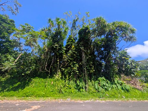 15-179 Puni Lani Loop, PAHOA, HI, 96778 | Card Image