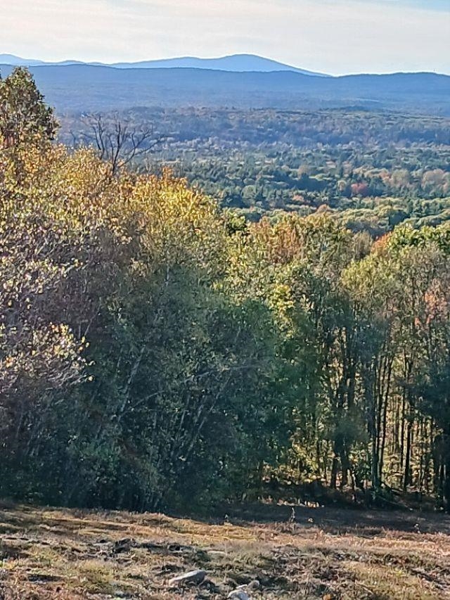 Land in Gilmanton 5