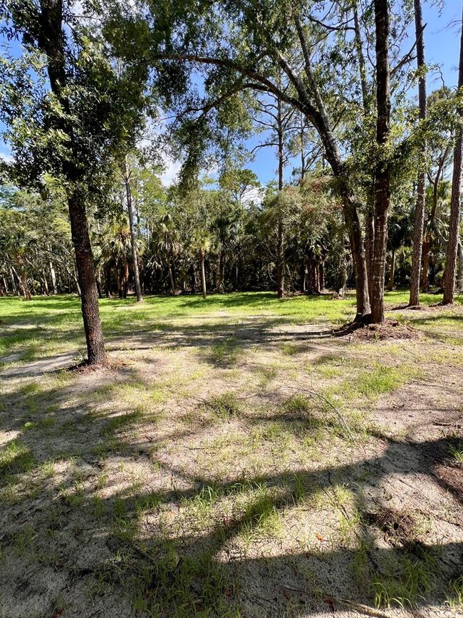 0 Ne Webb Ln, Home with 0 bedrooms, 0 bathrooms and null parking in Steinhatchee FL | Image 10