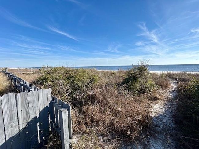 1464 Alligator Dr, House other with 3 bedrooms, 2 bathrooms and null parking in ALLIGATOR POINT FL | Image 31
