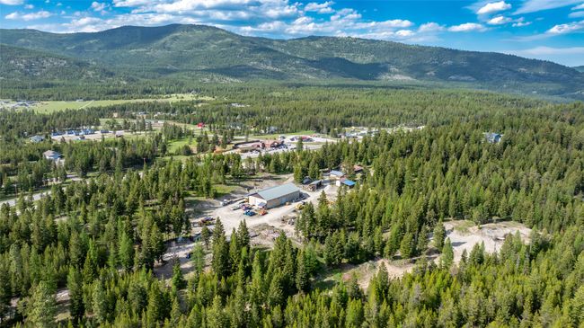 Drone / aerial view of a forest and a mountainous background | Image 90