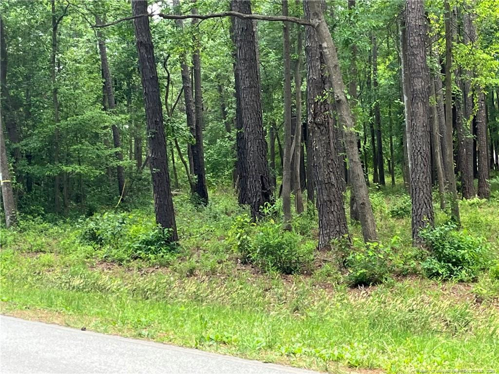 Land in Maxton 3
