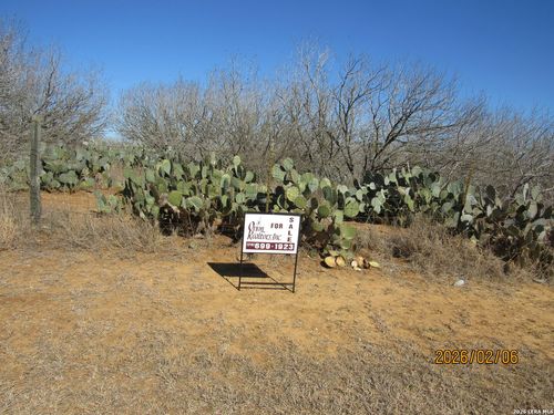 2662 County Road 307, Floresville, TX, 78114 | Card Image