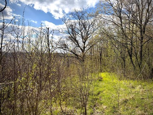 TBD County Line St, CLEAR LAKE, WI, 54005 | Card Image