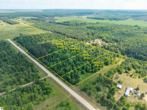 D Tucker Rd, Elmira, MI, 49730 | Card Image