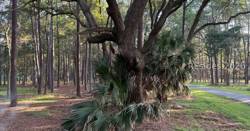 87 Martinangel Ln, Daufuskie Island, SC, 29915-9142 | Card Image