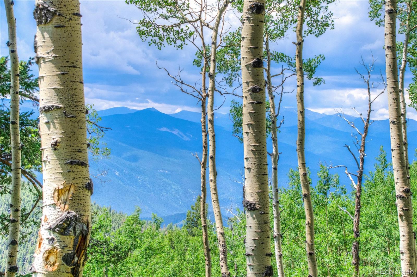 1701 Robinson Hill, Lot 6 Road, For Sale in Golden Zoocasa