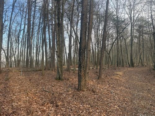 0 N Shivas Crst, Rising Fawn, GA, 30738 | Card Image