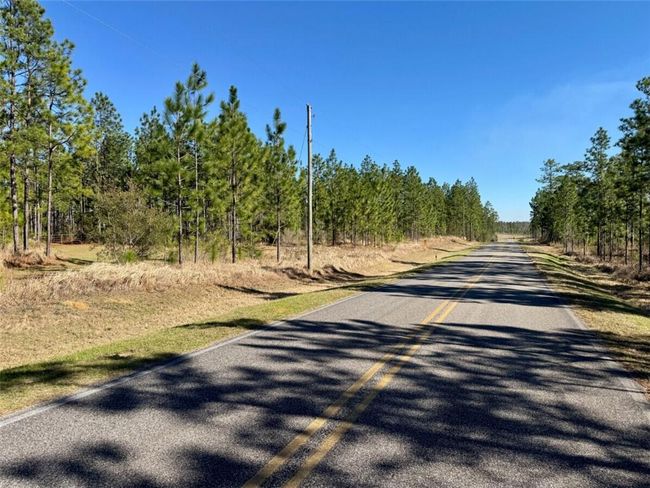 0 Robert White Rd, Home with 0 bedrooms, 0 bathrooms and null parking in Bay Minette AL | Image 21