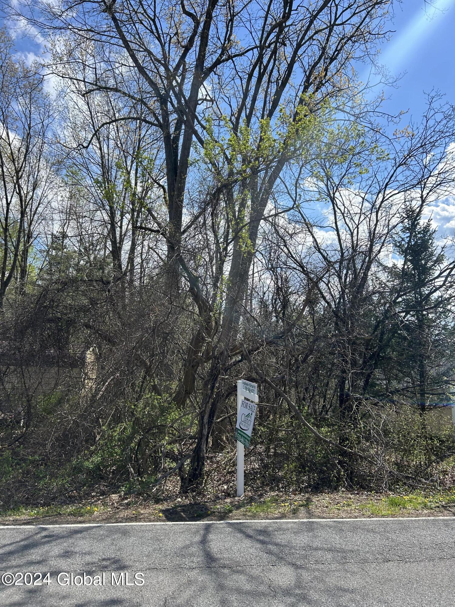 Bender Ln, Glenmont, NY 12077 #1