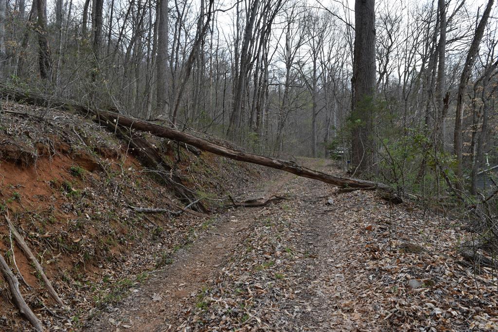 Land in Cullowhee 2