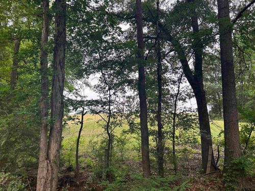 LOT 9 5+ ACRES Fm 15, Troup, TX, 75789 | Card Image