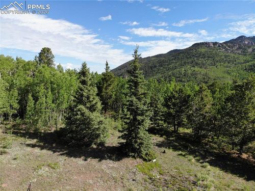 12775 S Highway 67, Cripple Creek, CO, 80813 | Card Image