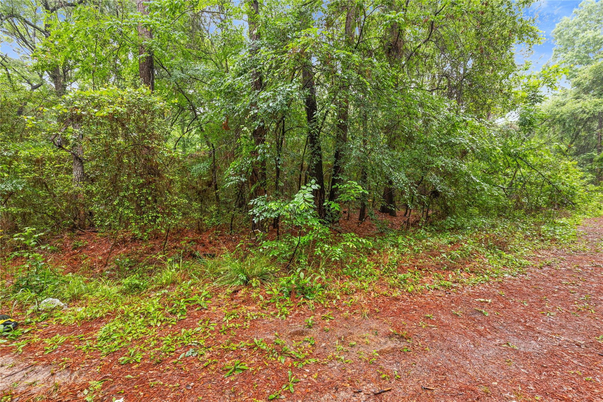 Land in Plantersville 2