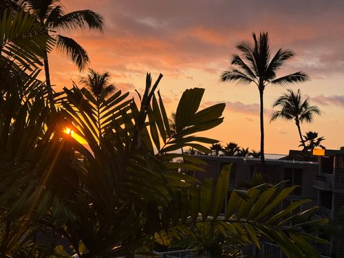 apt-317-75-6016 Alii Dr, Kailua Kona, HI, 96740-2341 | Card Image