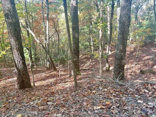 Lot 4 Ridgeline Dr, Brasstown, NC, 28902 | Card Image