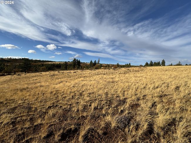 0 Jensen Quarry Rd, Home with 0 bedrooms, 0 bathrooms and null parking in Bickleton WA | Image 37