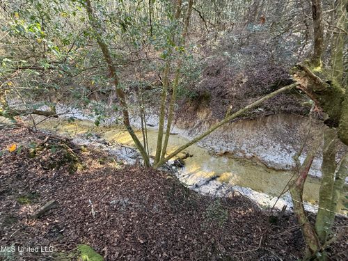 38 Ac +/- Indian Hill Rd, Richton, MS, 39476 | Card Image