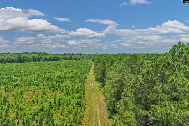 0000 N Brewington Rd, Home with 0 bedrooms, 0 bathrooms and null parking in Manning SC | Image 22