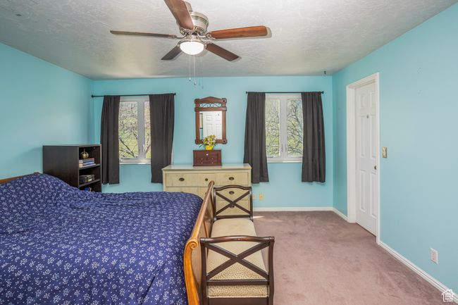 Carpeted bedroom with a textured ceiling, multiple windows, and baseboards | Image 12
