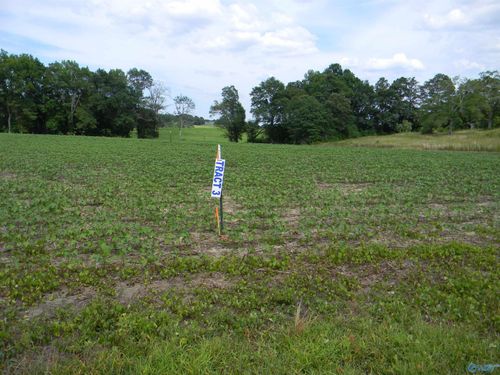 Lot 3 County Road 40, Centre, AL, 35960-8219 | Card Image