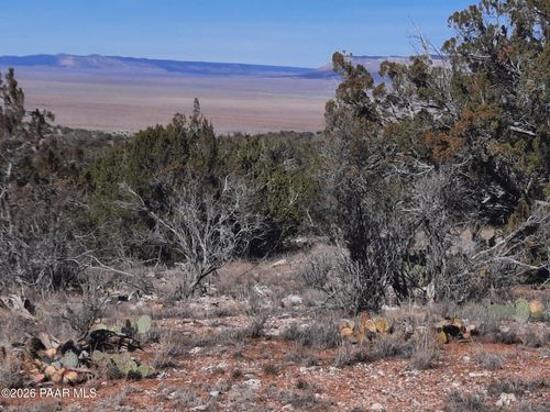 Lot 928 Bridge Canyon Pkwy, Seligman, AZ, 86337 | Card Image