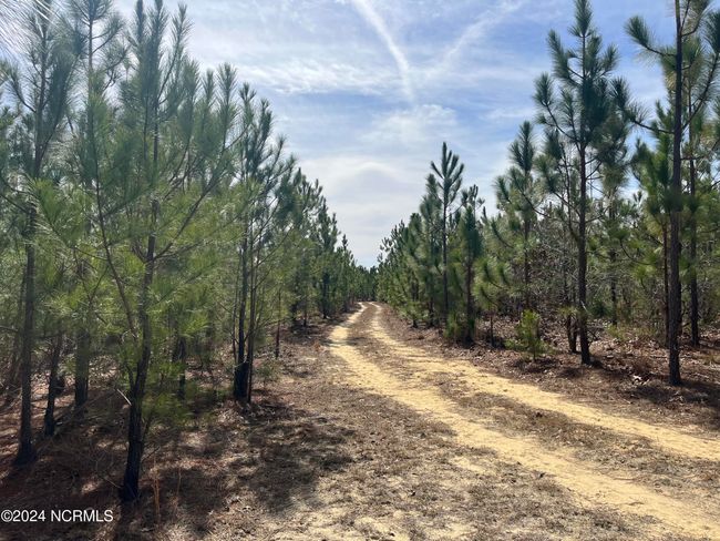 00 Us Highway 15 501, Home with 0 bedrooms, 0 bathrooms and null parking in Pinehurst NC | Image 13