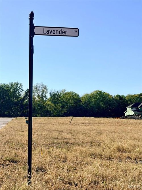 1100 & 1102 Lavender Lane, Litchfield, IL, 62056 | Card Image