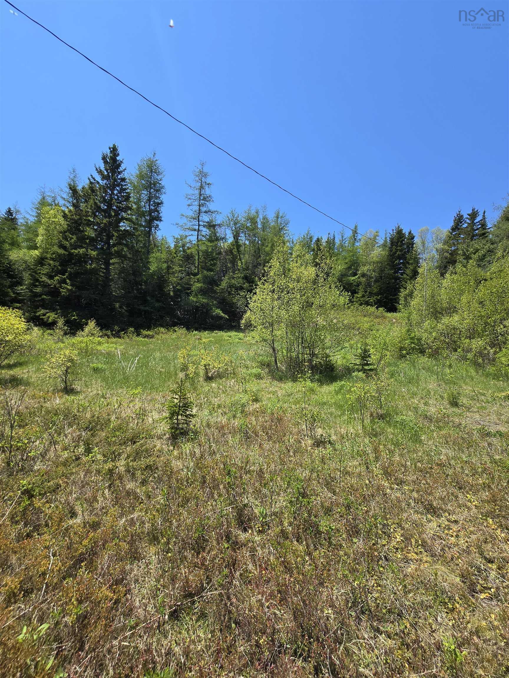 Land in Country Harbour 4